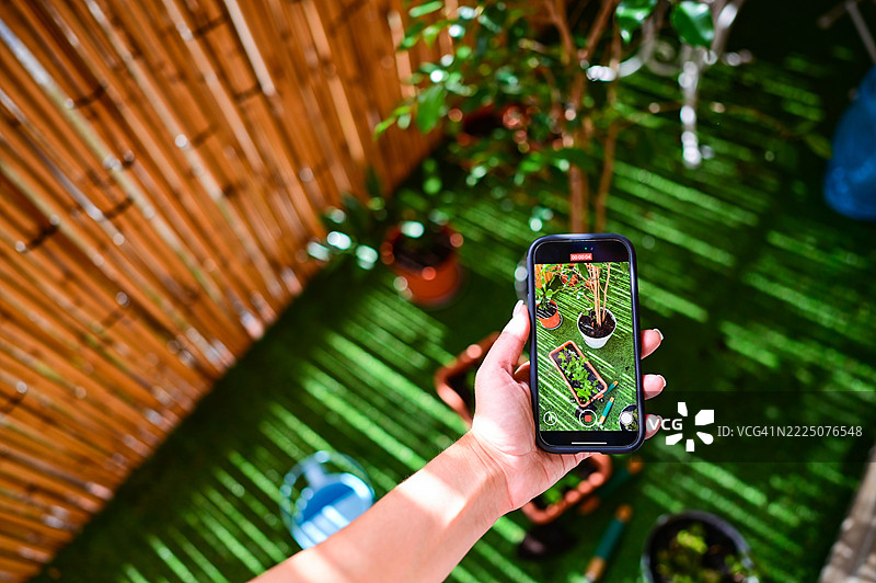 园丁用智能手机拍摄城市花园中的植物图片素材