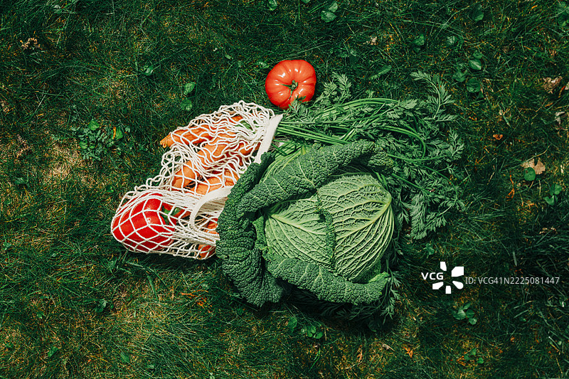 新鲜蔬菜，包括卷心菜、胡萝卜和西红柿，装在户外草地上的网袋里图片素材