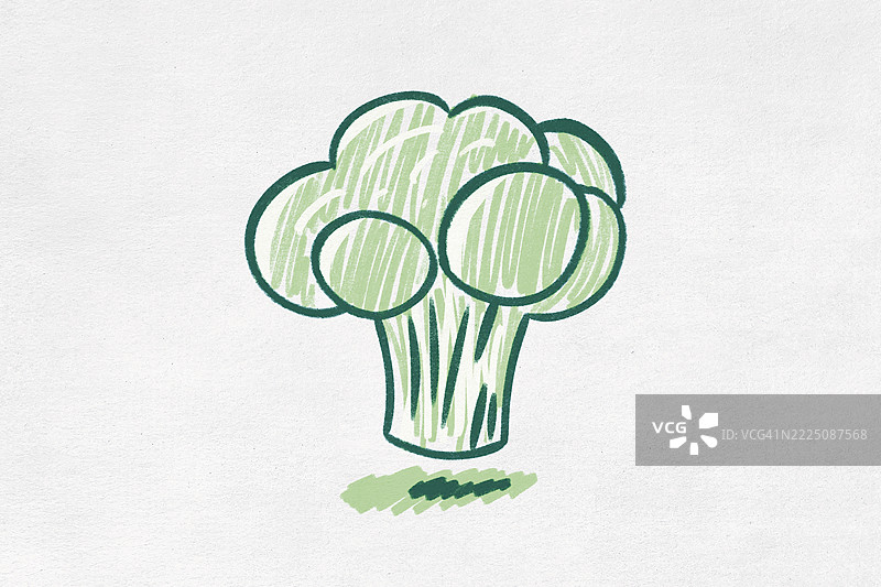 白色背景上的绿色西兰花插图图片素材