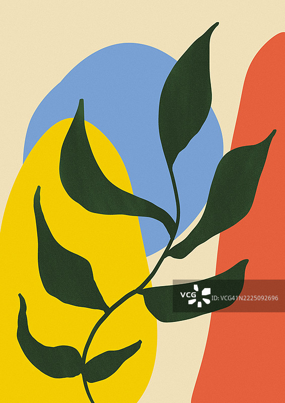 以原色和有机形状为主题的植物抽象插图图片素材