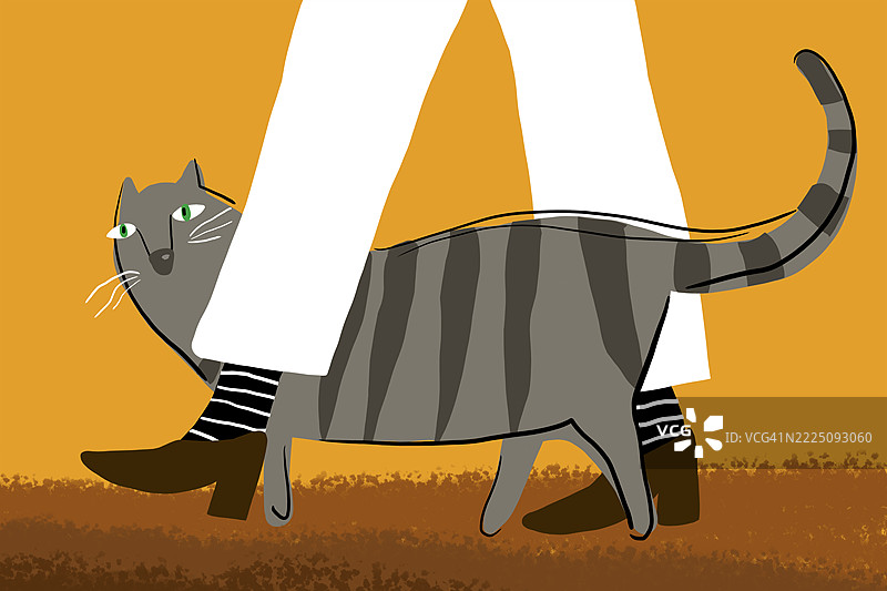 卡通风格的条纹猫顽皮地穿过男人的腿图片素材
