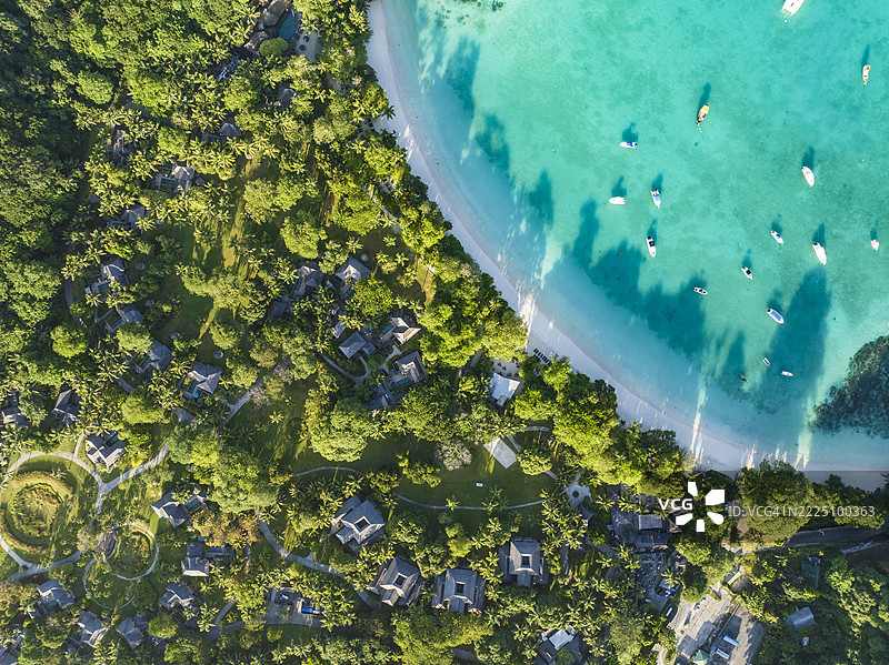 马埃岛的拉乌尼港海滩鸟瞰图，碧蓝的海水和郁郁葱葱的绿植图片素材