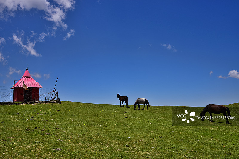 印度喜马偕尔邦图片素材