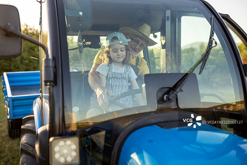 爷爷和孙子在有机农场的拖拉机上图片素材