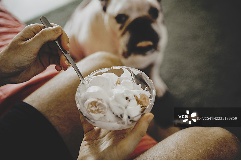 男性享受着一碗香蕉、巧克力和酸奶，而他的狗狗在一旁乞求食物。图片素材