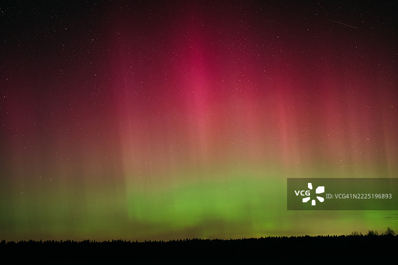北极光在夜晚的森林上空闪耀图片素材