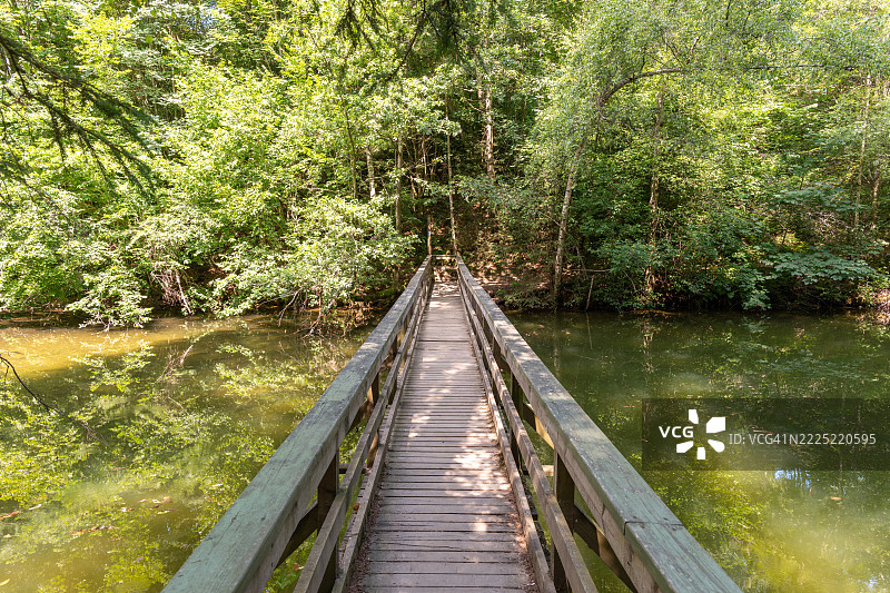 森林中河上的木桥图片素材