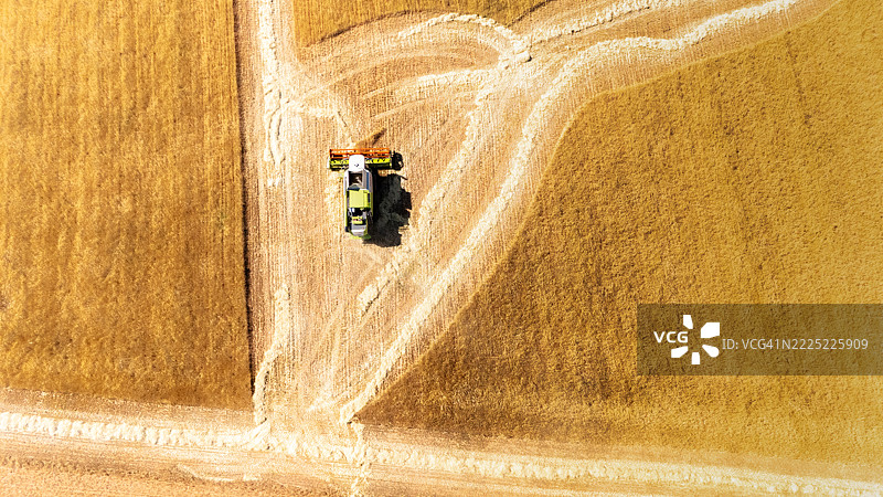 垂直拍摄的联合收割机正在收割一片谷物田。图片素材