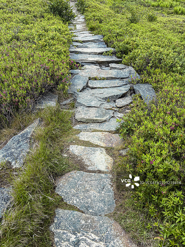 小径上的石头台阶图片素材