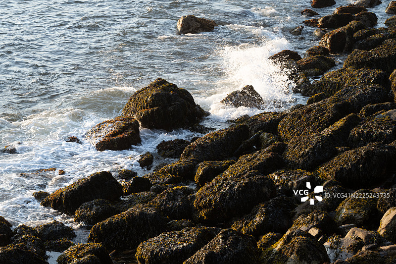 海滩上岩石的高角度视图，巴港，缅因州，美国图片素材