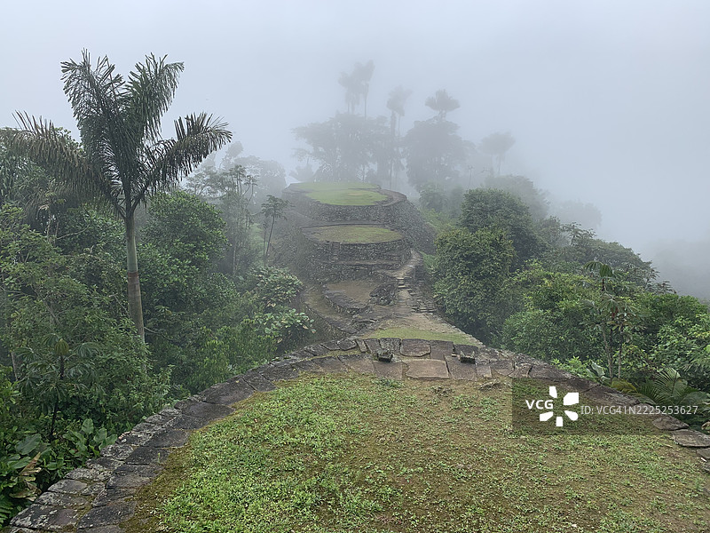 哥伦比亚马格达莱纳省圣玛尔塔的天空下的树木景观图片素材