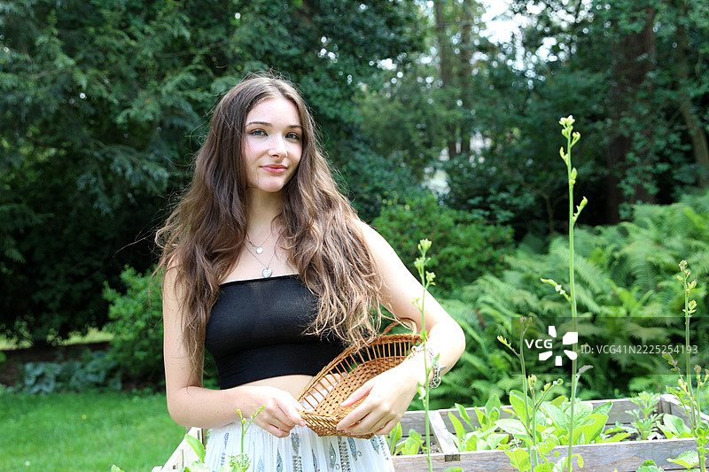 女人在高架花园床上采摘萝卜。图片素材