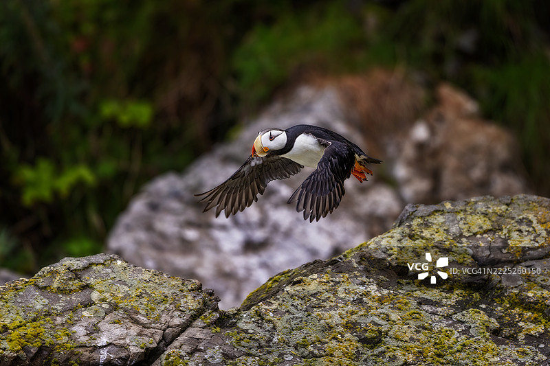纹理丰富的地形飞行图片素材