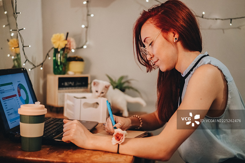在家工作的女人与猫咪图片素材