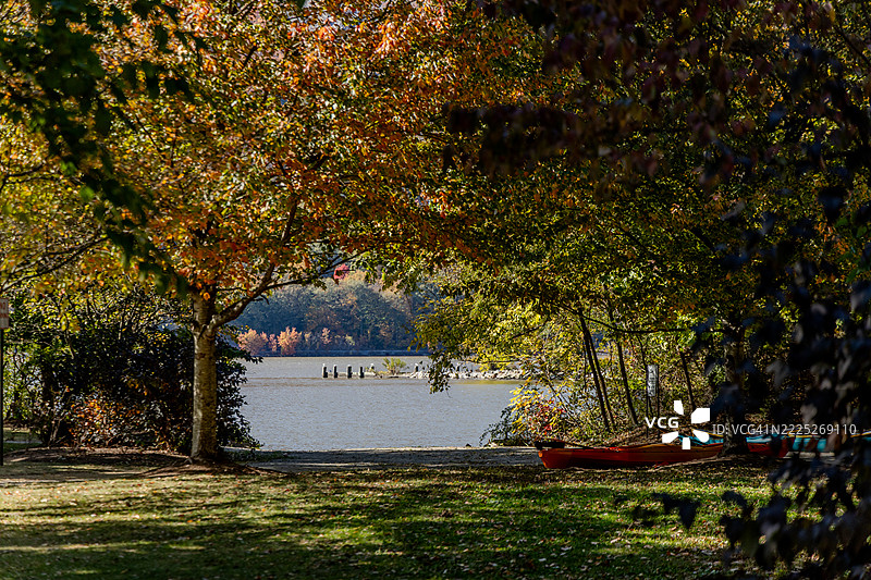 秋天的湖边树木，冷春，纽约，美国图片素材