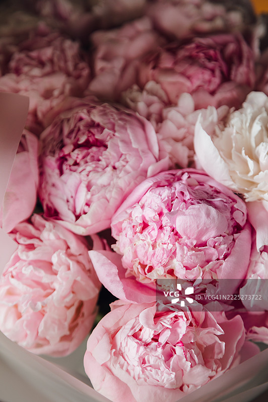 包装好的牡丹花束图片素材