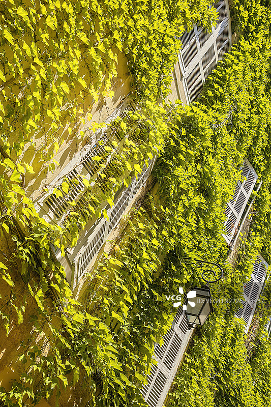 艾克斯-普罗旺斯，普罗旺斯，法国图片素材