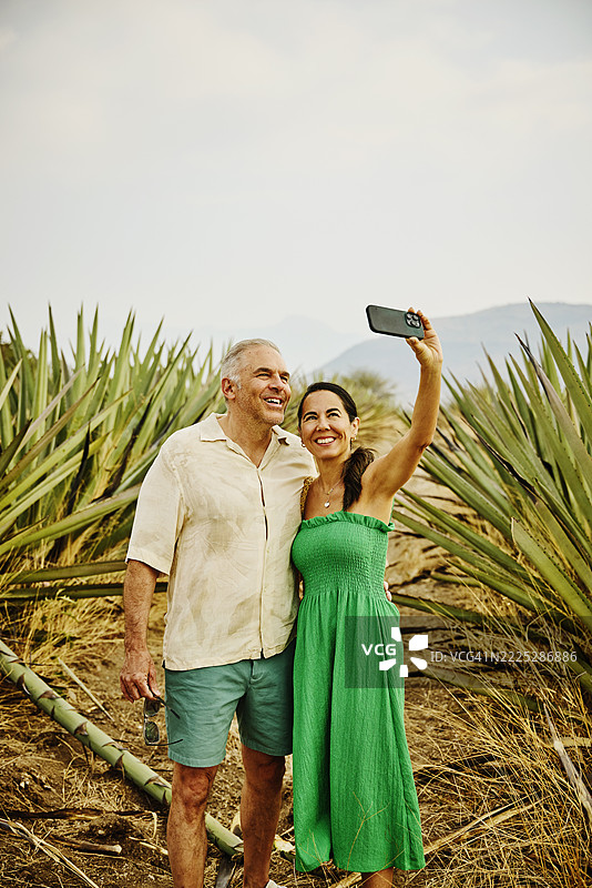 中景拍摄的老年夫妇在龙舌兰田中自拍图片素材