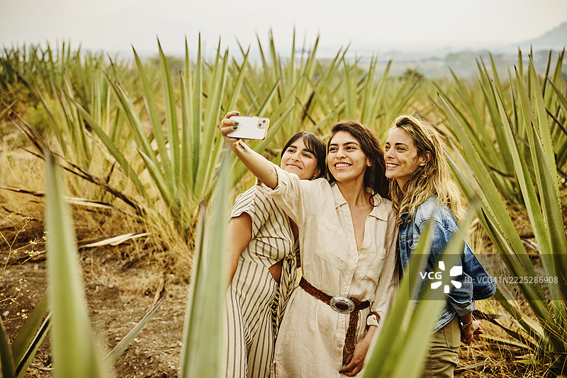 中景拍摄的女友们在参观龙舌兰田时自拍图片素材