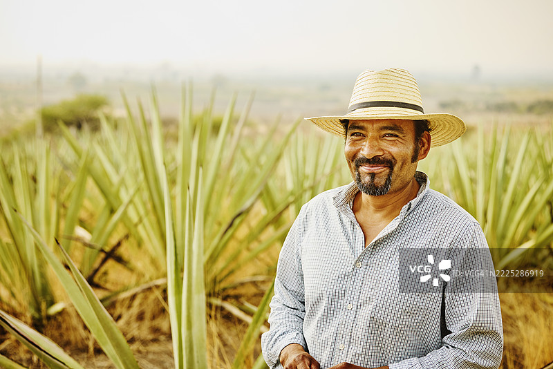 黎明时分，站在田野中的龙舌兰农民的中景肖像图片素材