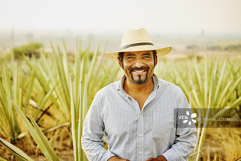 黎明时分，站在田野中的龙舌兰农民的中景肖像图片素材