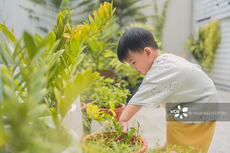 亚洲小男孩在夏天玩肥皂泡，小男孩在后院花园里玩肥皂泡机，享受清新的夏日时光。图片素材