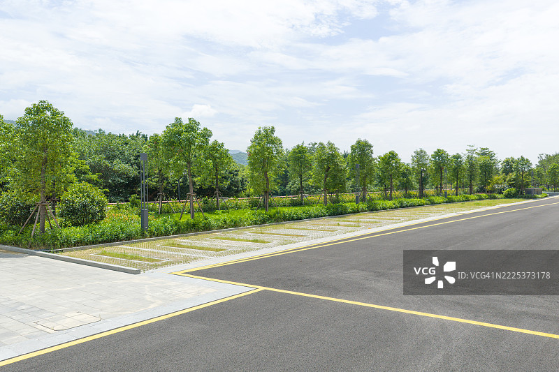 繁茂的绿树沿着沥青道路而立图片素材