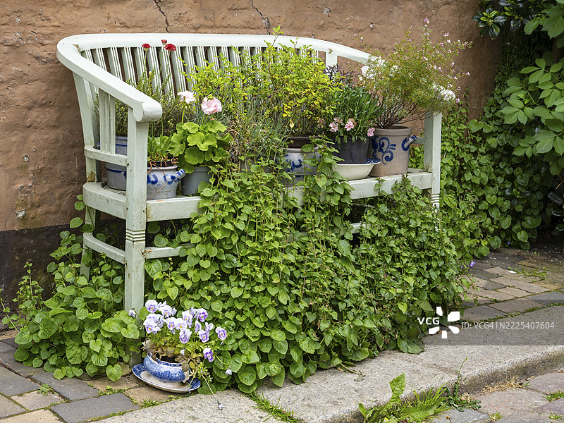 房屋墙前的长椅，周围有花朵和藤蔓，老城，胡苏姆，北弗里西亚，石勒苏益格-荷尔斯泰因，德国图片素材