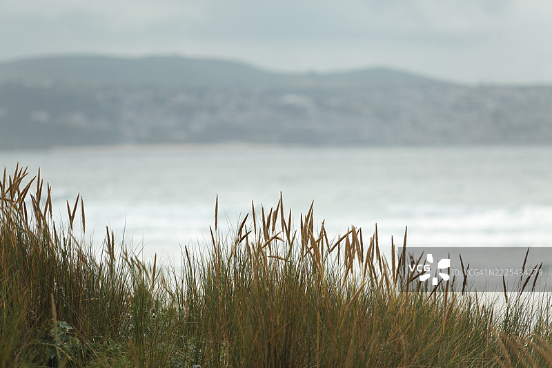 沙丘草与康沃尔海岸线在远处图片素材
