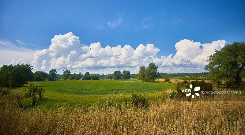 田园诗般的乡村草地，蓝天白云朵朵图片素材
