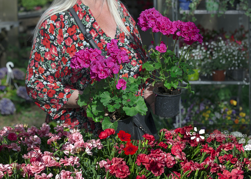 女性在当地的户外农业市场购物，购买花卉图片素材