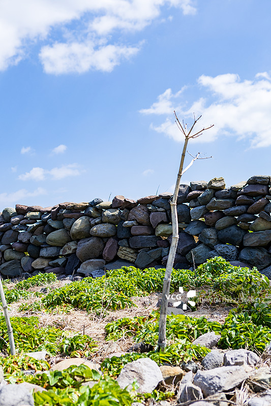 韩国加帕岛的风景图片素材