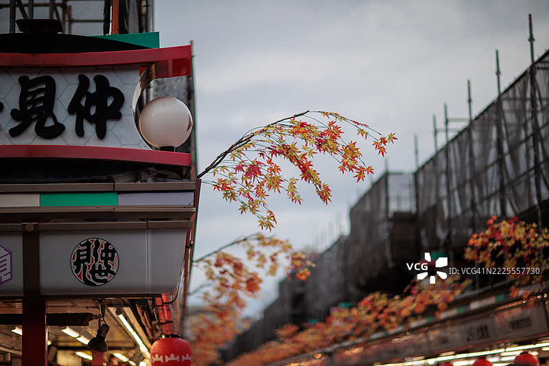 十月的东京浅草氛围图片素材