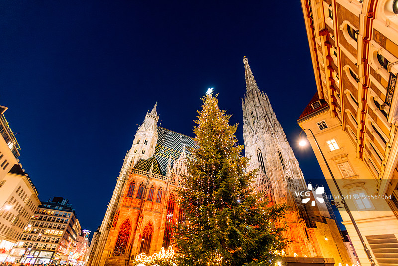 维也纳，奥地利，圣斯蒂芬大教堂前的圣诞树在黄昏时分被点亮图片素材