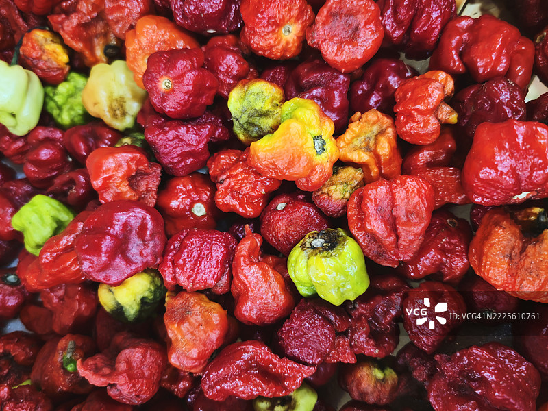 来自哥斯达黎加的五彩缤纷的巴拿马辣椒特写图片素材