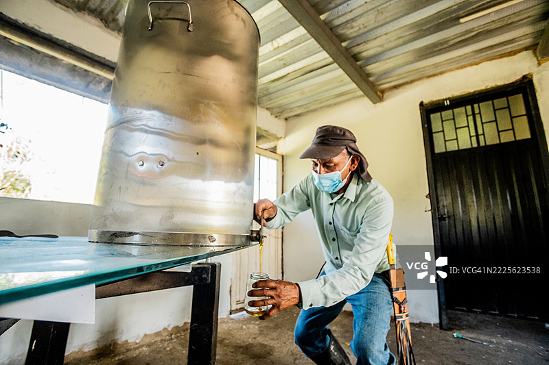成熟男性在蜂蜜行业工作图片素材