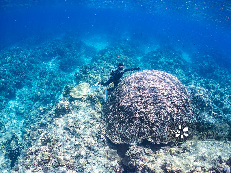 在庆良间群岛上最大的黄枝珊瑚（Porites Lutea）群落之一。一群热带鱼。美丽的珊瑚礁和游泳的人们。图片素材