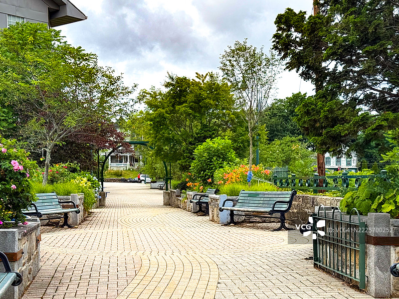 威利曼蒂公共公园内的植物、铺砖和长椅图片素材