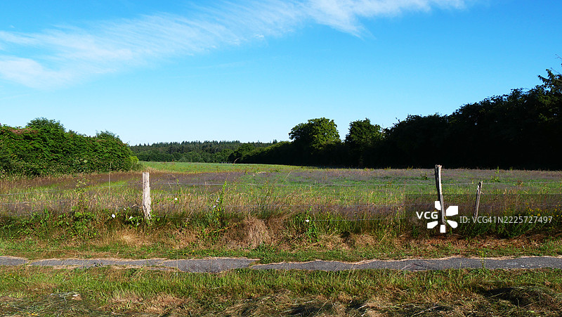 比利时希梅的草地前有一条狭窄的小路。阳光明媚，蓝天白云。色彩自然。无人。图片素材