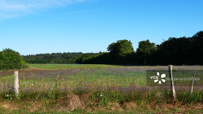 比利时希梅的草地,围栏由风化的木柱和铁丝网构成。阳光明媚,蓝天白云,自然色彩。没有人。图片素材