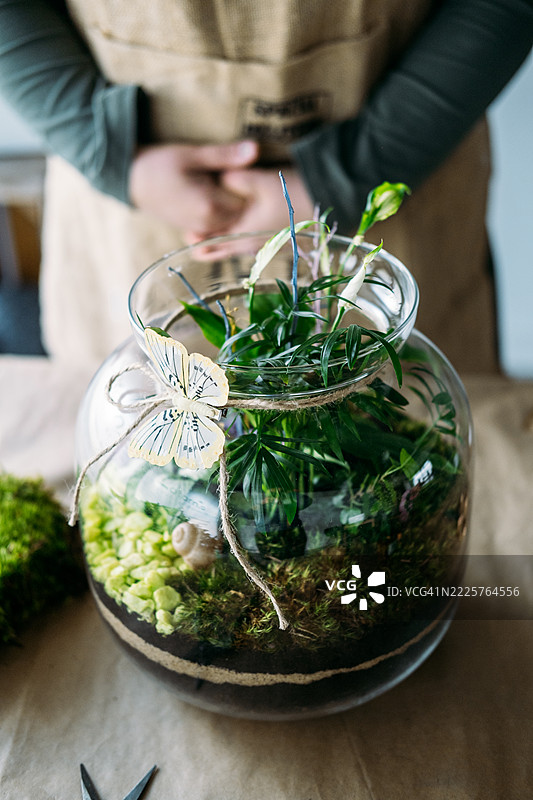 装饰精美的玻璃花园特写，层叠的苔藓、植物和蝴蝶装饰，背后站着一个穿着中性围裙的人。城市生活的微型园艺，DIY植物装饰，环保手工艺，亲自然的家居风格。图片素材