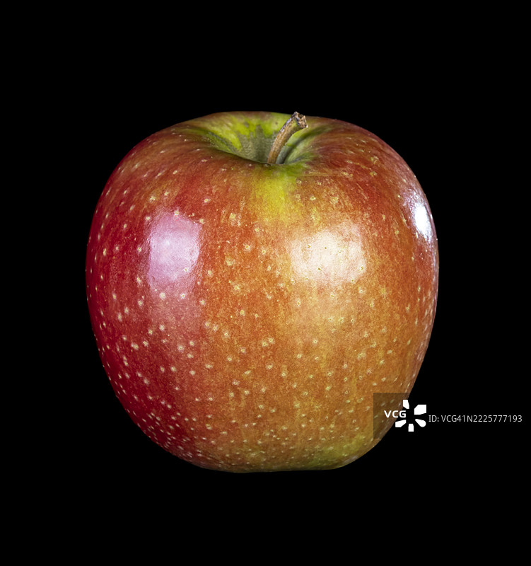 黑色背景上的整颗红美味苹果特写。图片素材