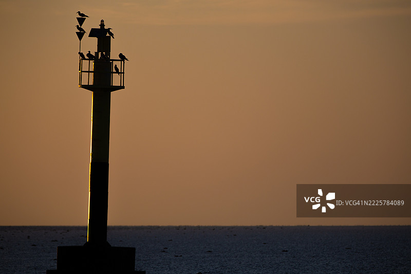 海上标志上的鸟类图片素材