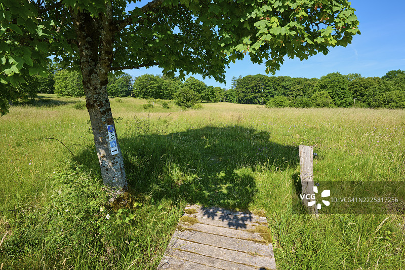 一座木制人行桥穿过绿草如茵的草地,树荫下,夏季,弗拉登根,霍赫·雷恩,雷恩,雷恩·格拉贝尔德,巴伐利亚,德国图片素材
