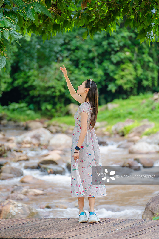 穿着花裙子的年轻女性站在小溪旁的木平台上，伸手向森林中的绿叶。图片素材