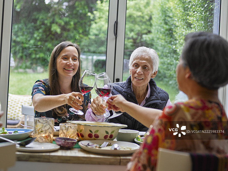 家庭在餐桌上举杯庆祝红酒图片素材