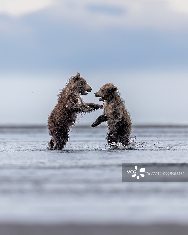 摔跤兄妹图片素材