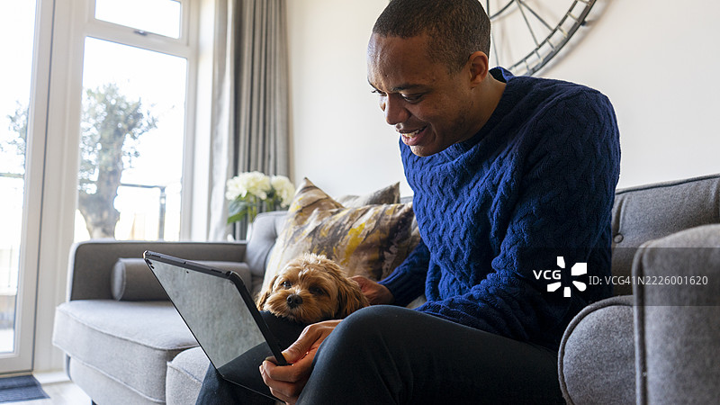 男子使用平板电脑，狗狗安静地趴在他的腿上图片素材