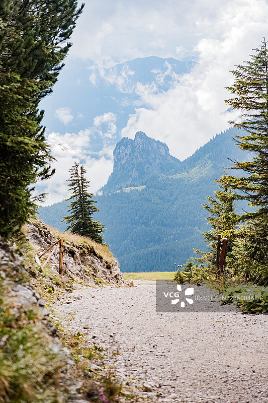 通往布雷滕贝格山的徒步小径图片素材
