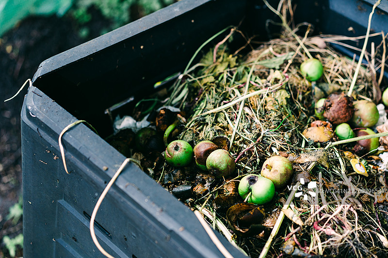 装满有机食品和园艺废料的堆肥箱图片素材